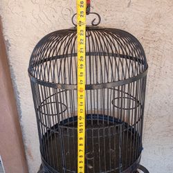 Bird Cages