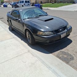 2003 Ford Mustang