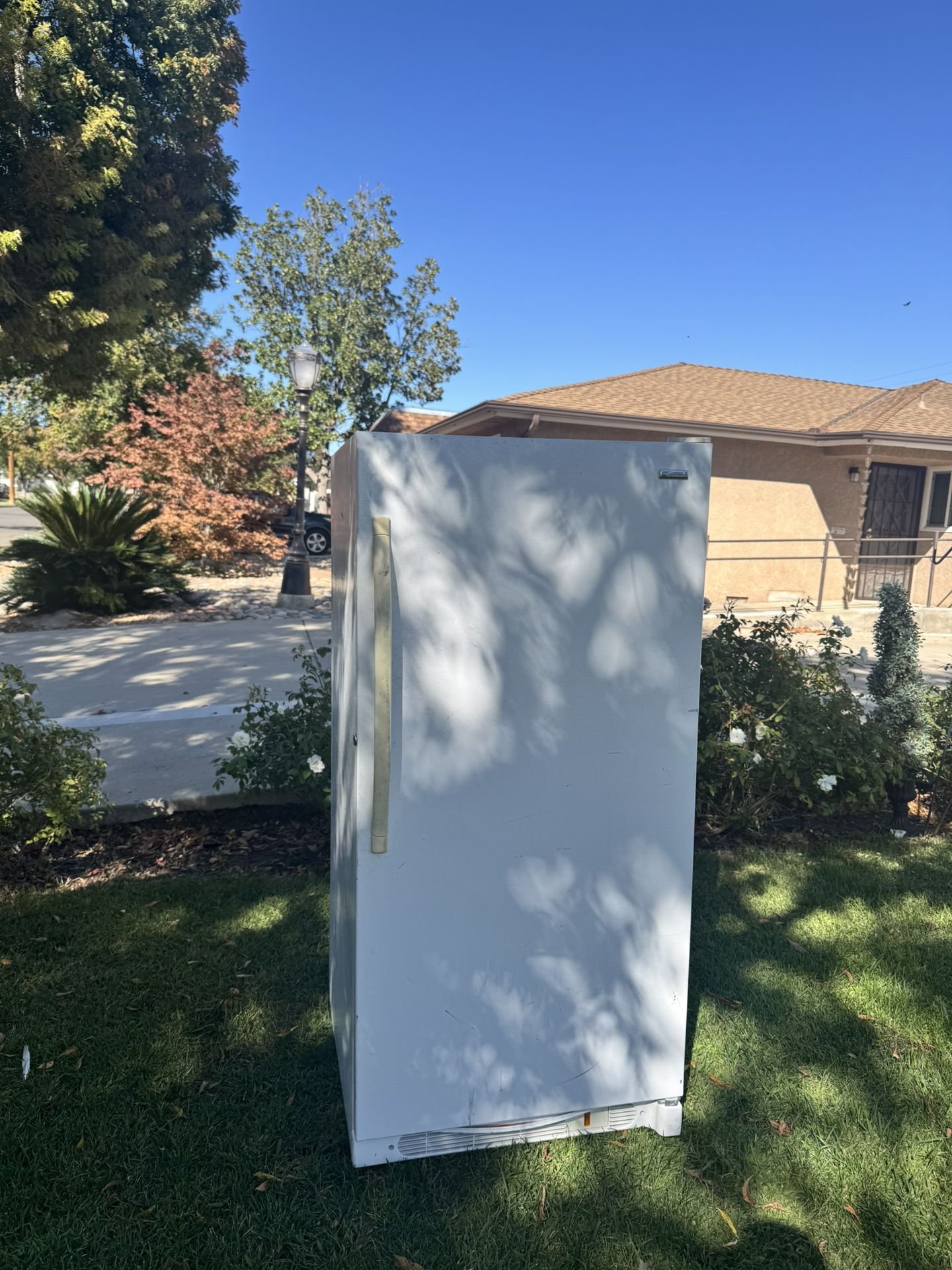 150$$$ Stand Up Freezer