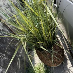 Tall Artificial Plant