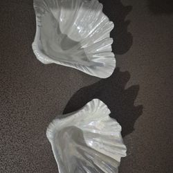 Sea Shell Soap Holder