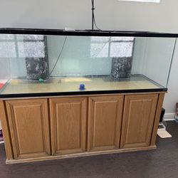 200 gallon Aquarium 
