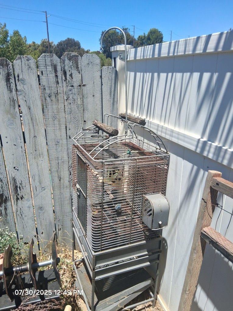 Birdcage With Rooftop Home