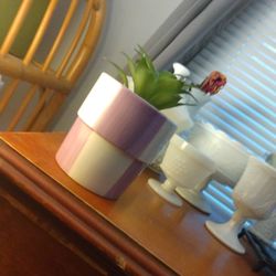 Fake Plant