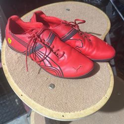 Ferrari Pumas Shoes 