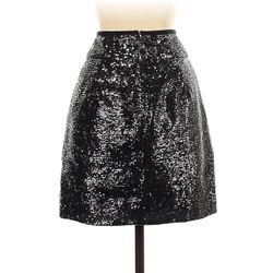 NWT J Crew Formal Sparkly Skirt 