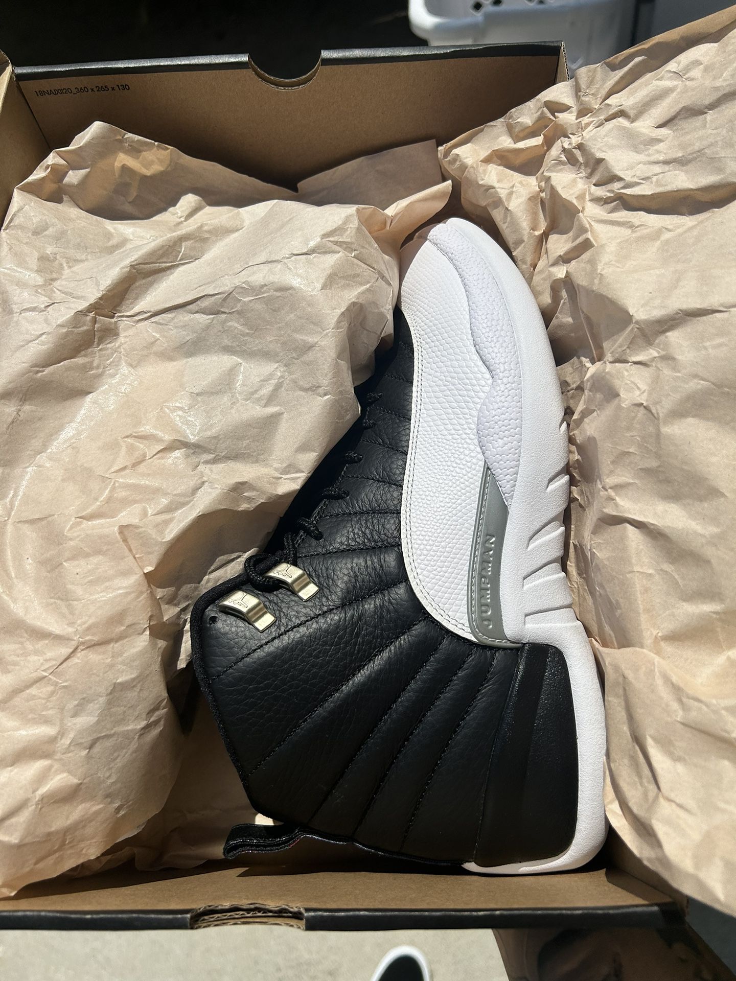 Jordan 12 