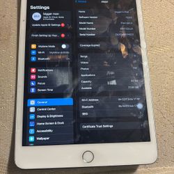 Ipad Mini 4