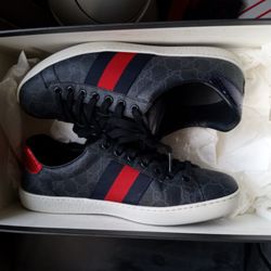 Gucci Ace