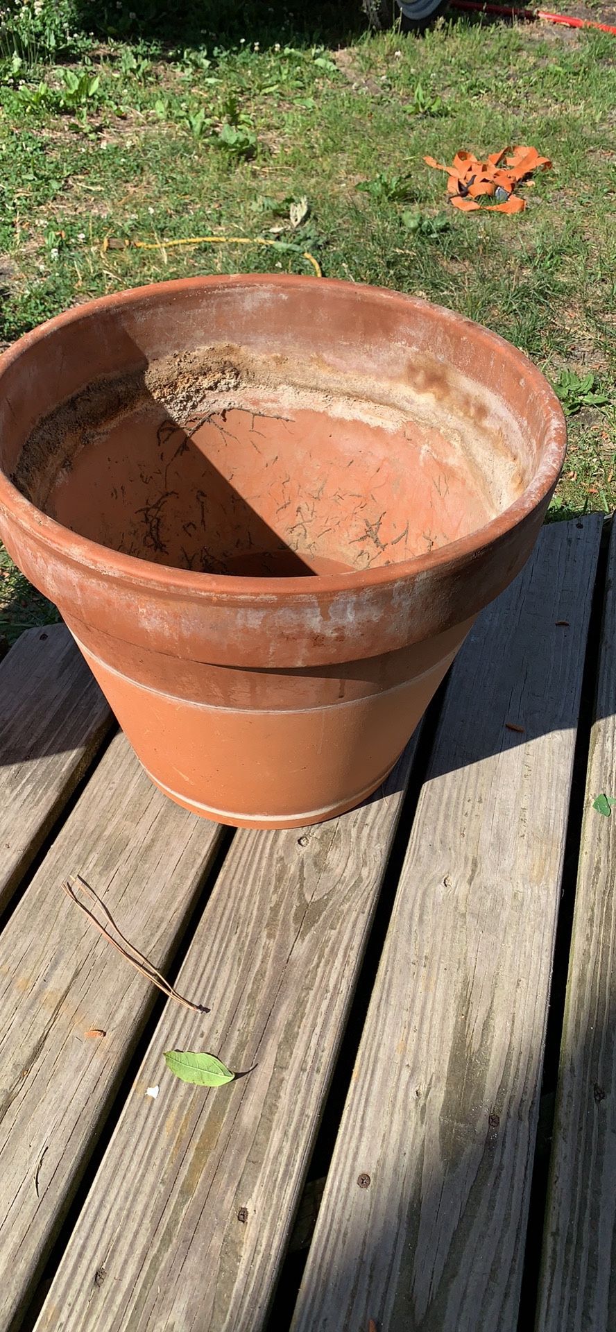 Garden pot