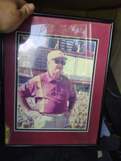 Framed Florida State Seminoles Sideline Photo