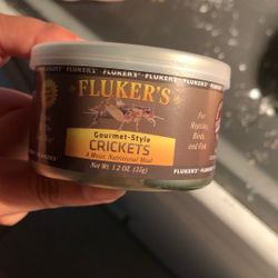 Reptile food- gourmet crickets/beetles & live gutloaded superworms