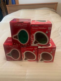 Holiday flood lights