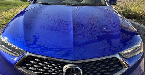 Hood For 2019 Acura TLX
