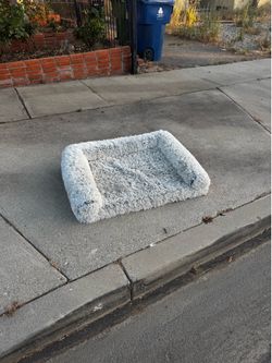 FREE dog bed