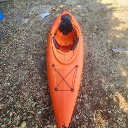 Kayak 