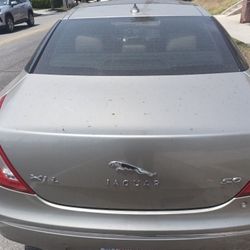 Jaguar Needs Starter 