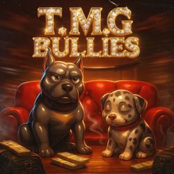 American Pocket Bullies 