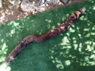 Driftwood For Aquariums Terrariums Decor