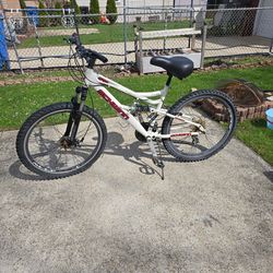 Adult Bike 26in