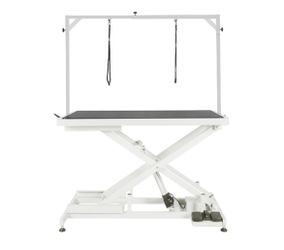 Heavy Duty Low-low Electric Dog Grooming Table