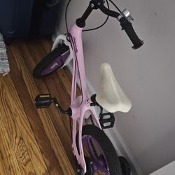 Kids Bike 3-5yo