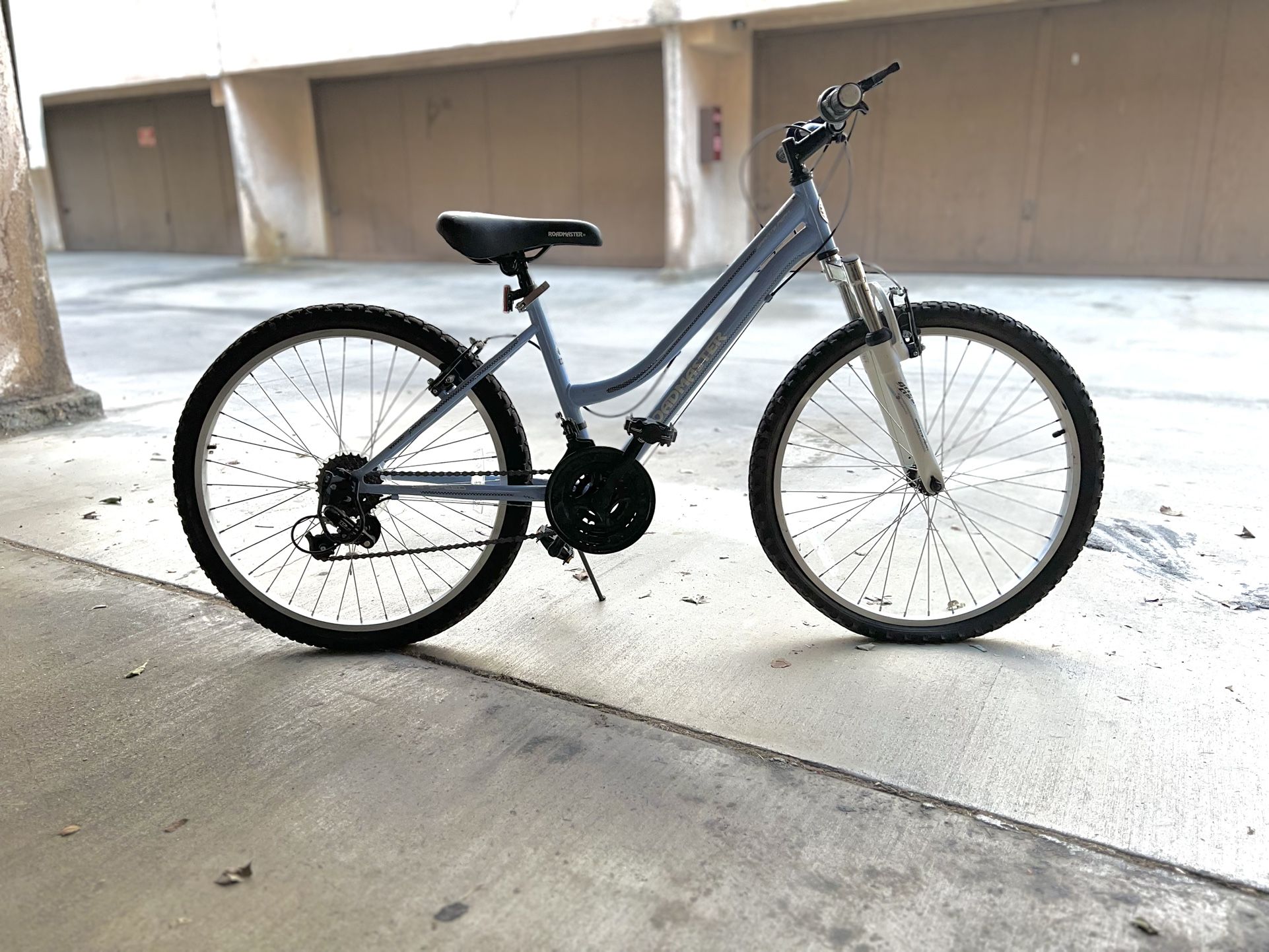 Light Blue Bicycle