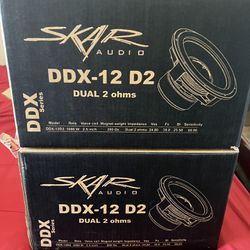 Skar DDX 12s (2)