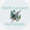 @violetsplantparadise 