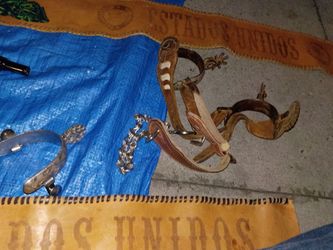 Horse equipment