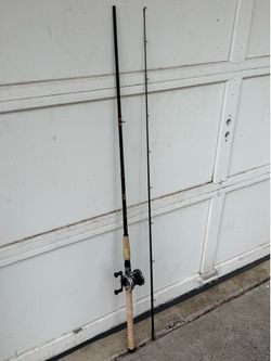 Casting Rod and Reel