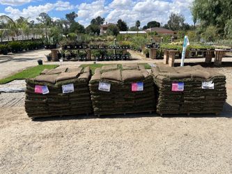Sod For Sale
