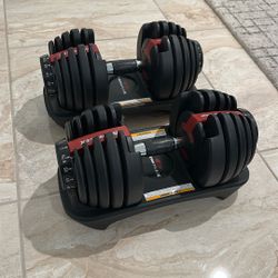 Bowflex Weights