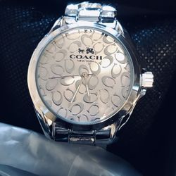 Silver / White Watch