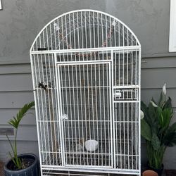 Big Bird Cage