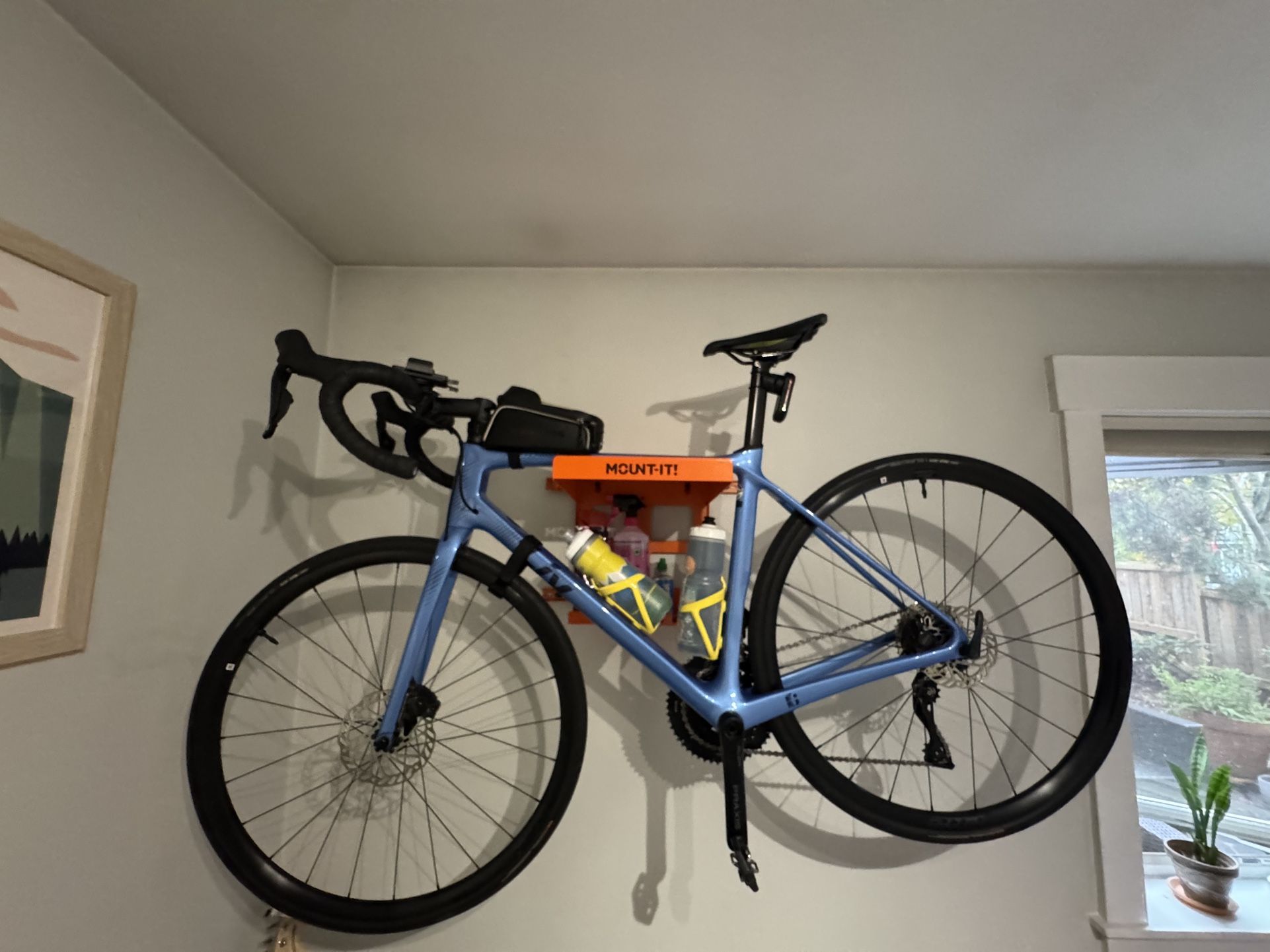 Medium Liv Langma Advanced Disc 1 