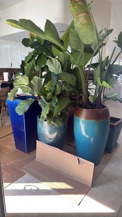 Ceramic Pots