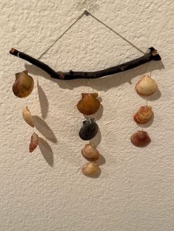 Wall hanging driftwood coastal decor seashells 9” w x 12” long