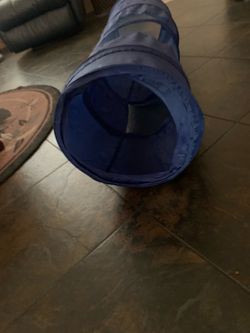 Cat tunnel and cat house