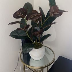 Faux Plant