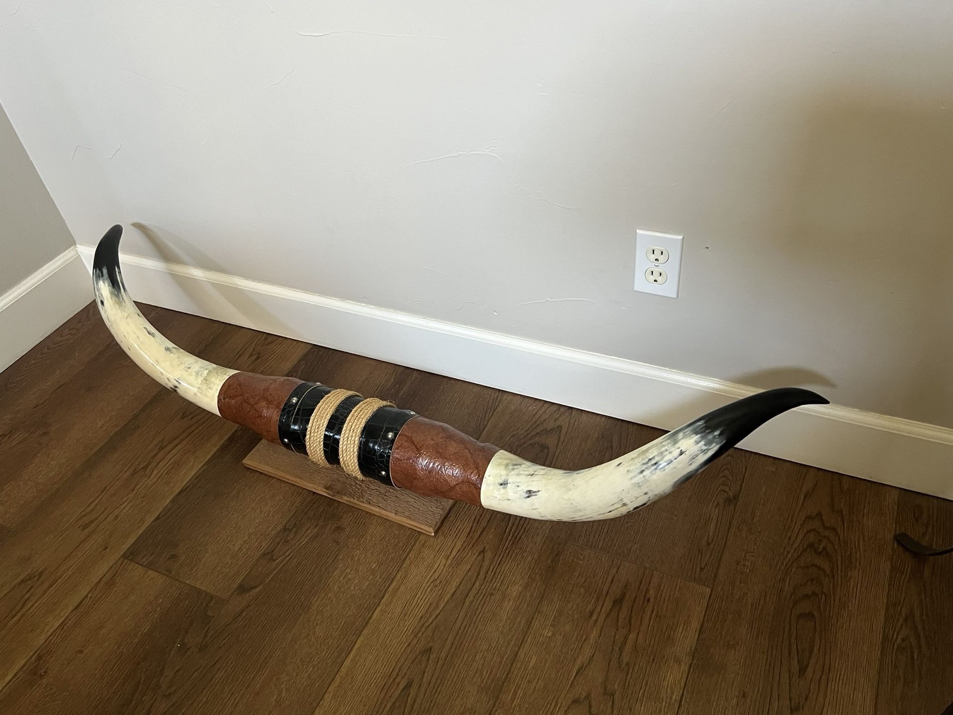 Mounted Steer Horns