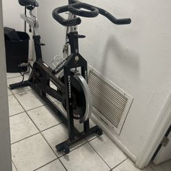 One Ektatyc Eksercite Bike SCHWINN Neat Model Original Costa $600