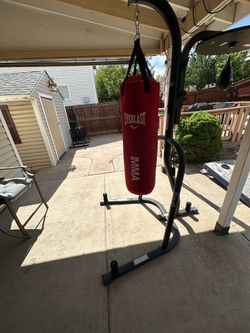 Everlasting boxing equipment heavy and speed bag combo