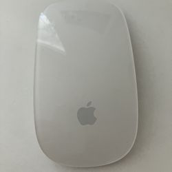 Apple mouse battery