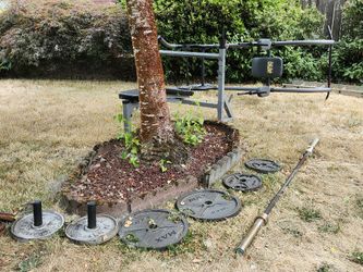 Weights And Equipment (Steal Of A Deal)