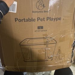 Dog Travel 