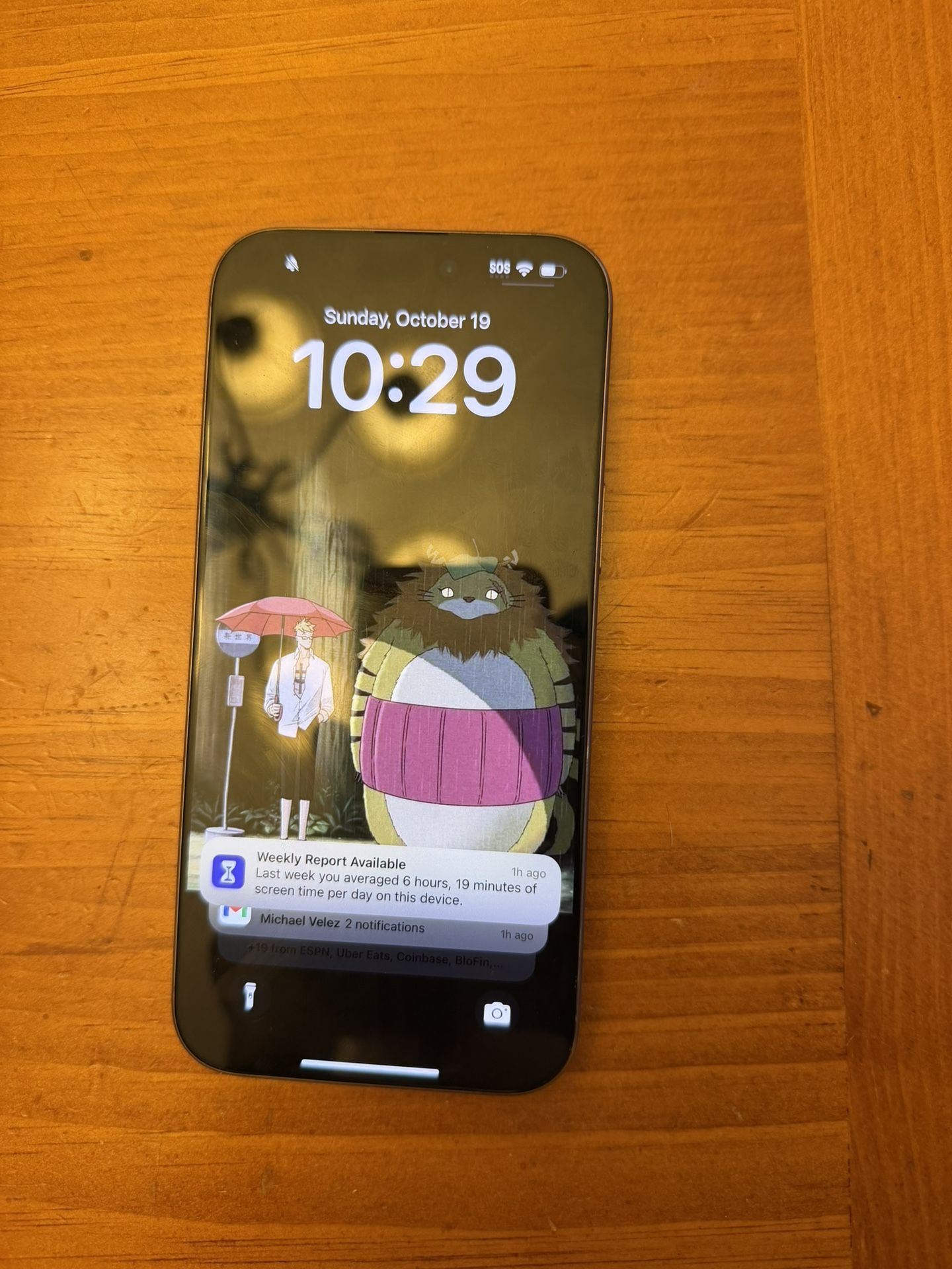 iPhone 16 Pro Max Unlocked