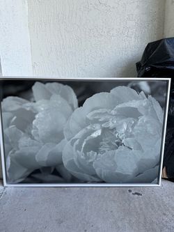 Peonies wall part