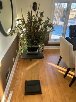 Plant with stand