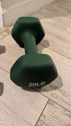 1) 20 lb dumbbell weight